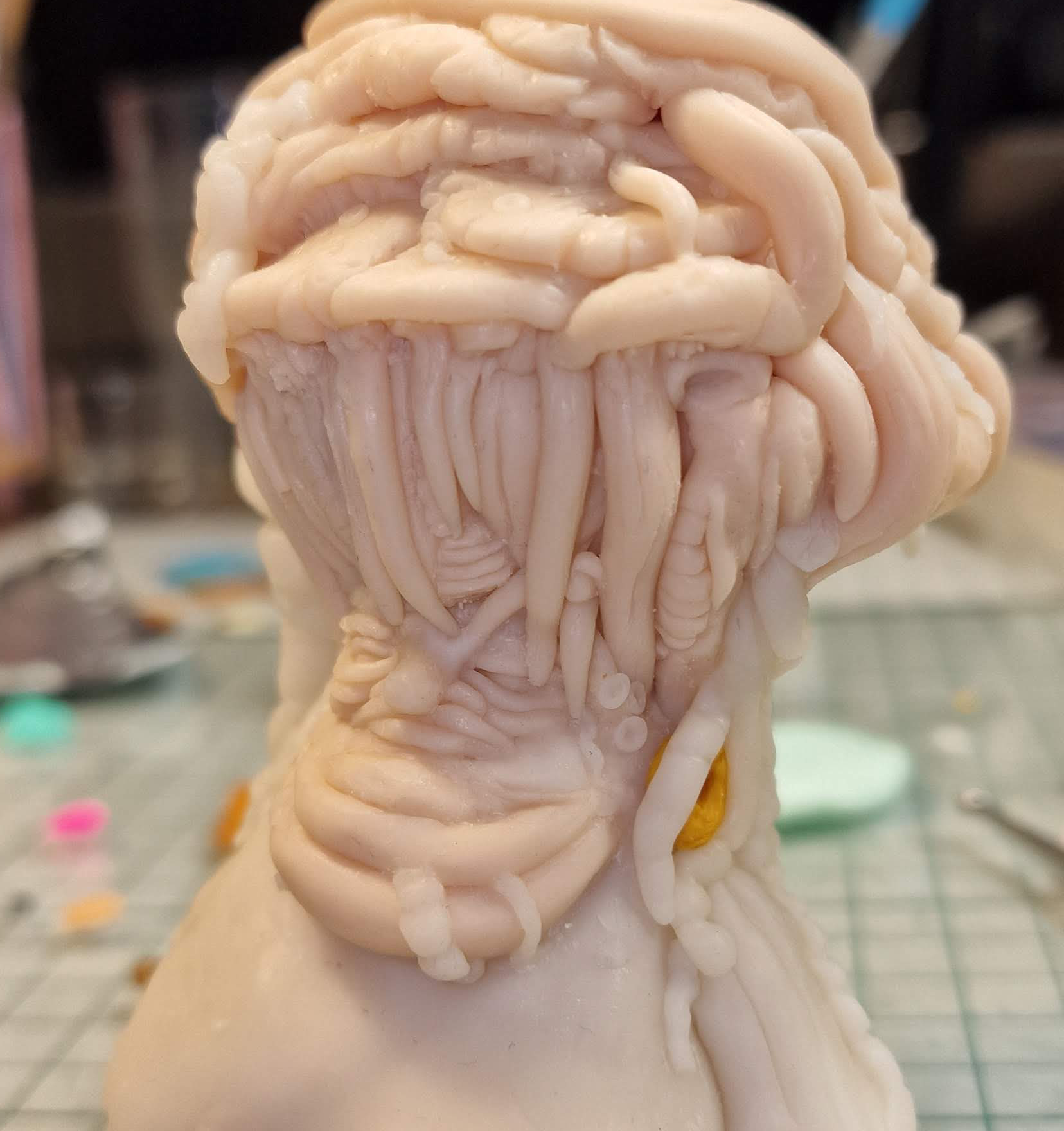 Mushroom man bust